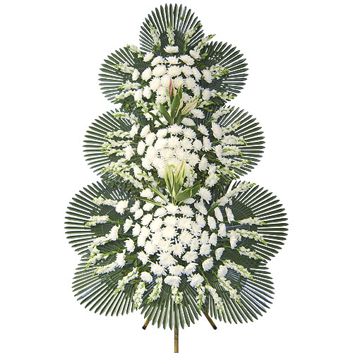 ֱ 3 (11)+(10)